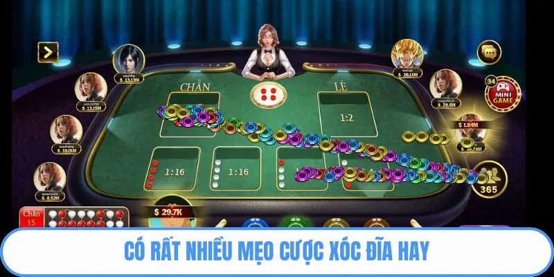 Có rất nhiều mẹo cược xóc đĩa hay 